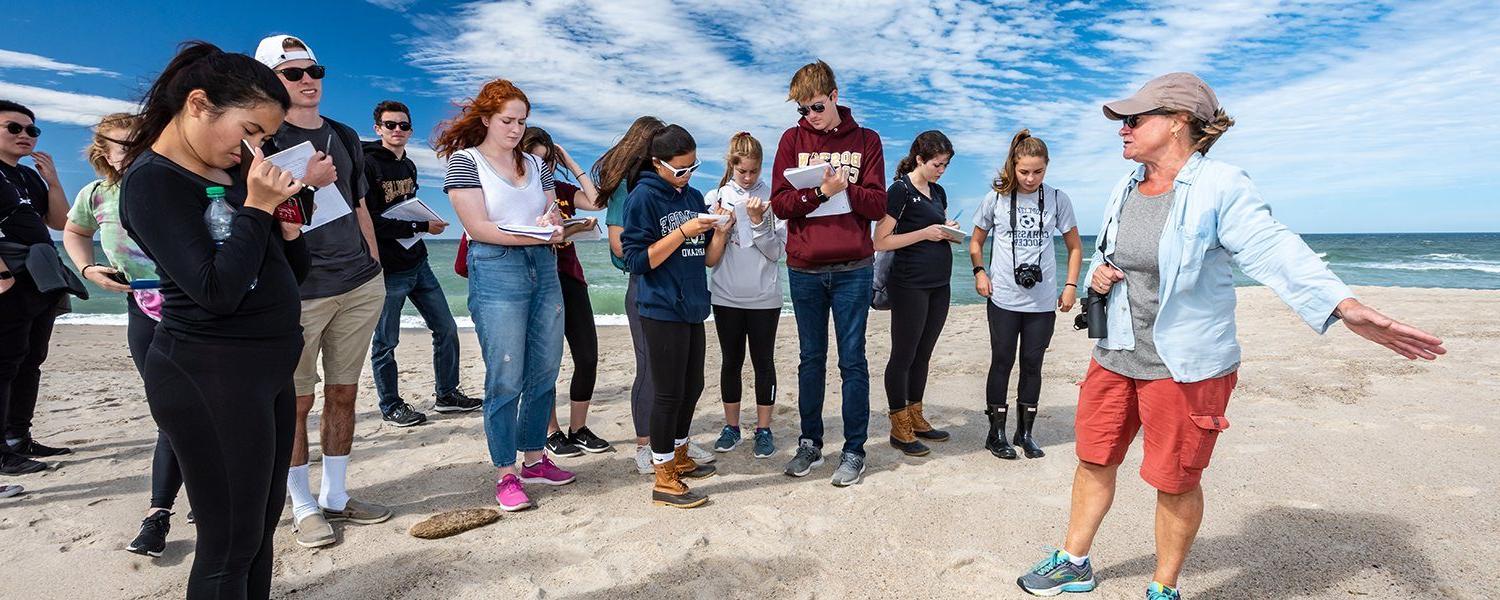 Students in class at beach